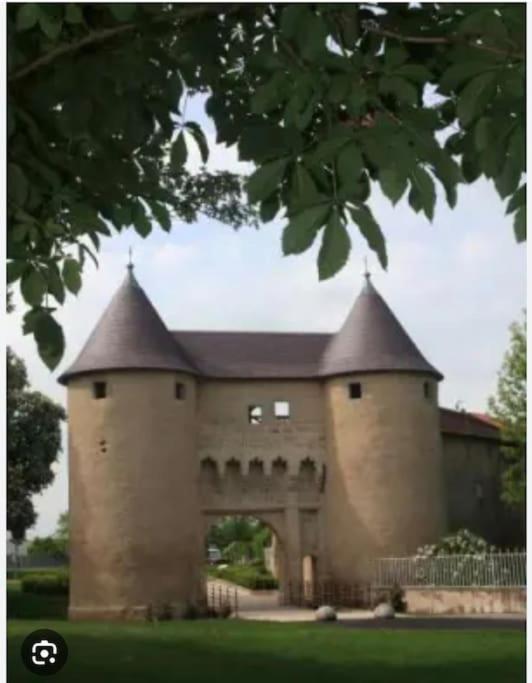 Appartement 90 M2 Vic-sur-Seille Exteriör bild